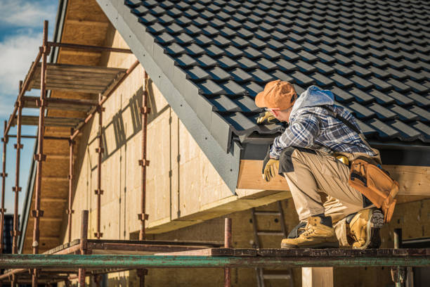 Best Roof Ventilation Installation  in Ajo, AZ